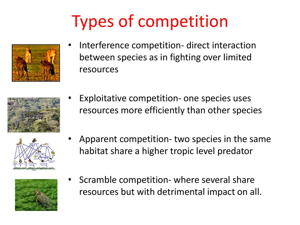 Species Interactions Species Interactions Help Define Communities
