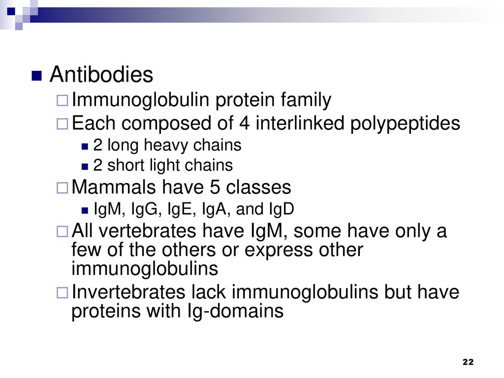 CHAPTER 53 DEFENSE MECHANISMS OF THE BODY - ppt download