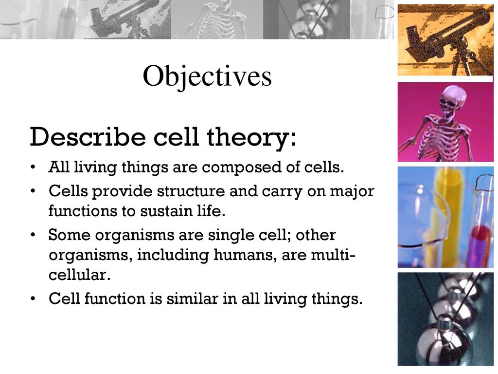objectives-describe-cell-theory-ppt-download