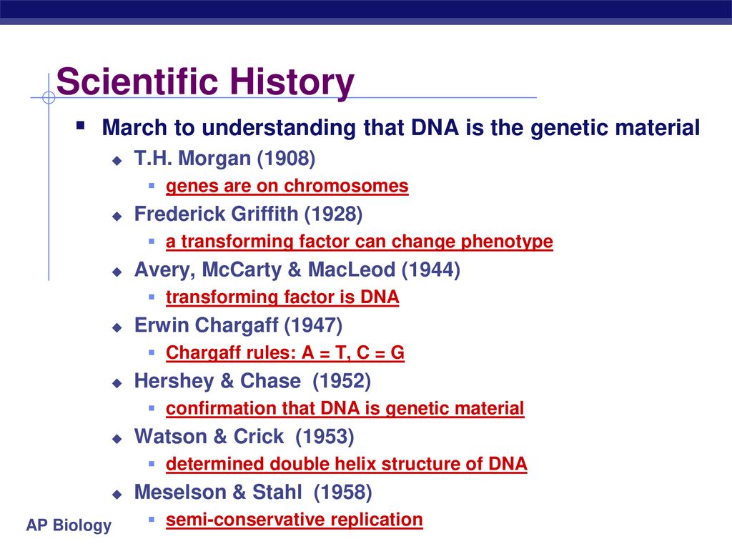 Dna the genetic material ppt download