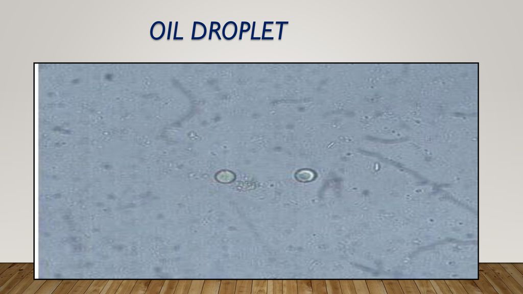 Oil droplet