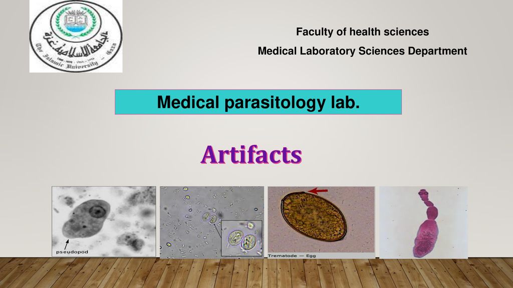 Artifacts Medical parasitology lab. Faculty of health sciences