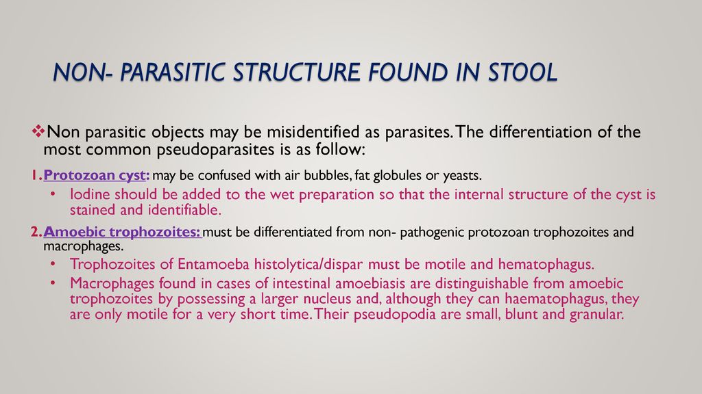 Non- parasitic structure found in stool