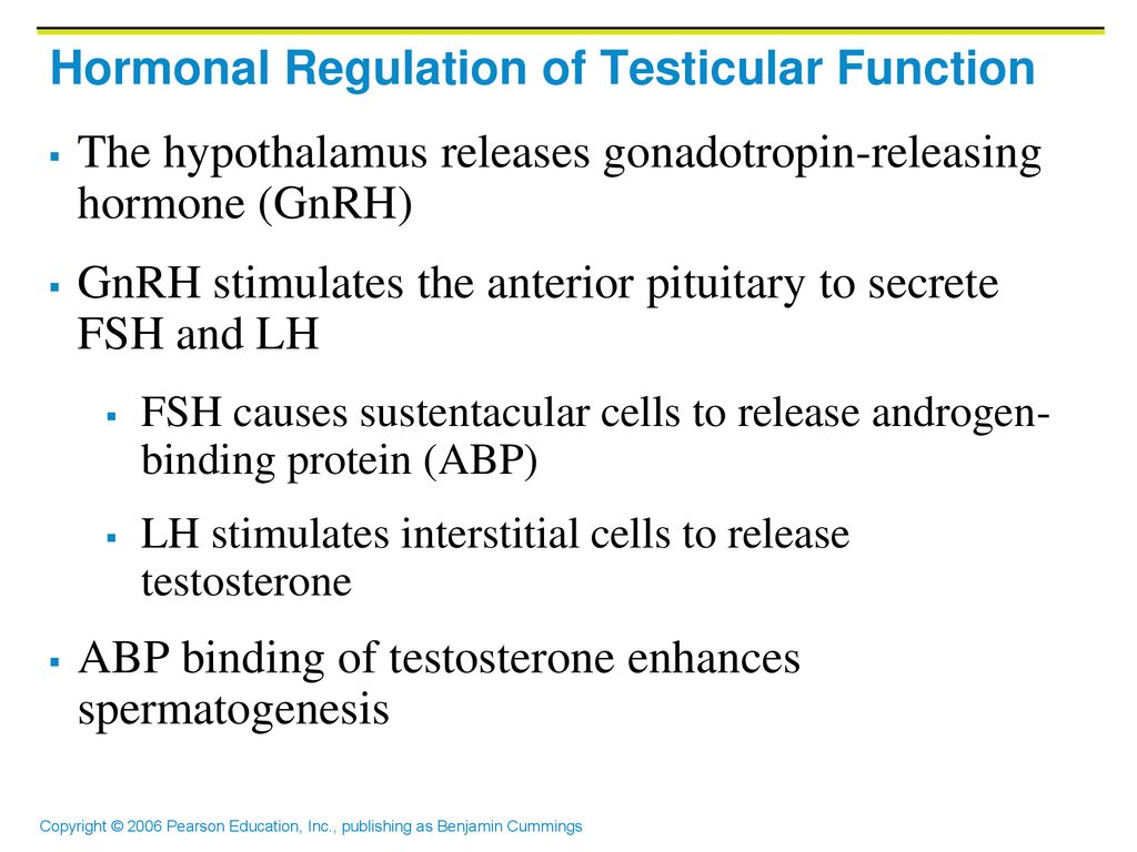 The Reproductive System ppt download The Reproductive System ppt download