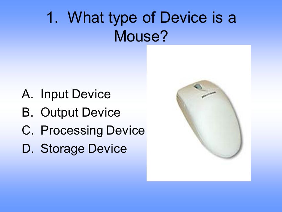 1. What type of Device is a Mouse