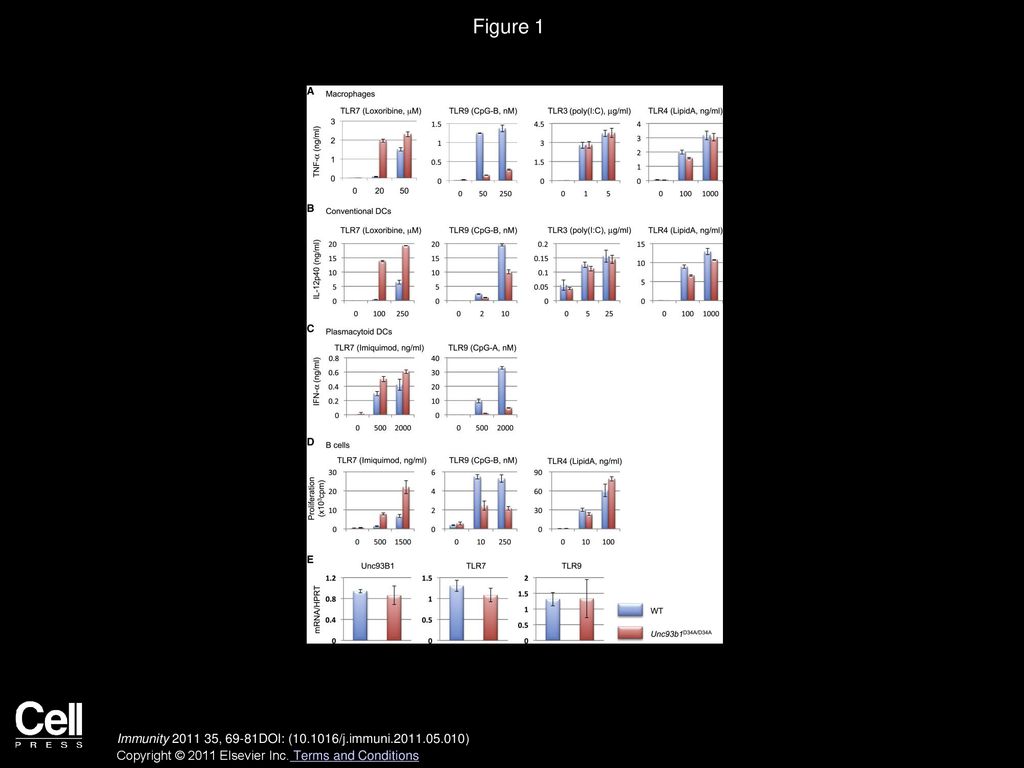 Figure 1 A D34A Mutation in Unc93B1 Renders TLR7 Hyperresponsive and TLR9 Hyporesponsive.