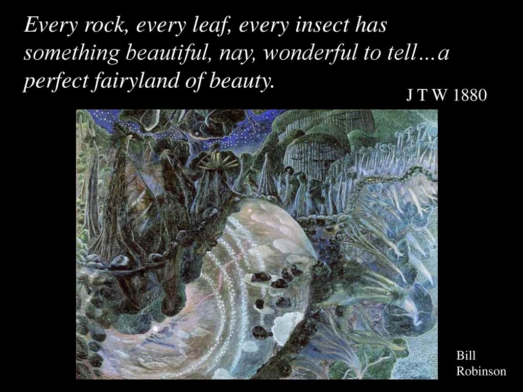 Every rock, every leaf, every insect has something beautiful, nay, wonderful to tell…a perfect fairyland of beauty.