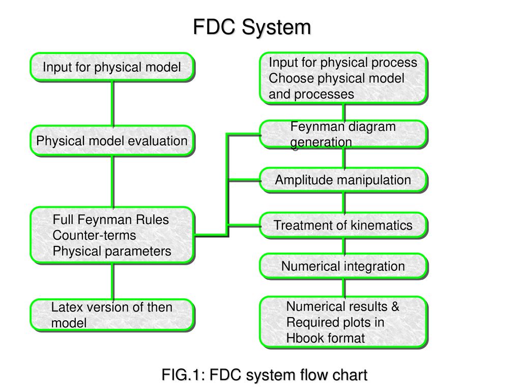 FDC System FIG.1: FDC system flow chart Input for physical process