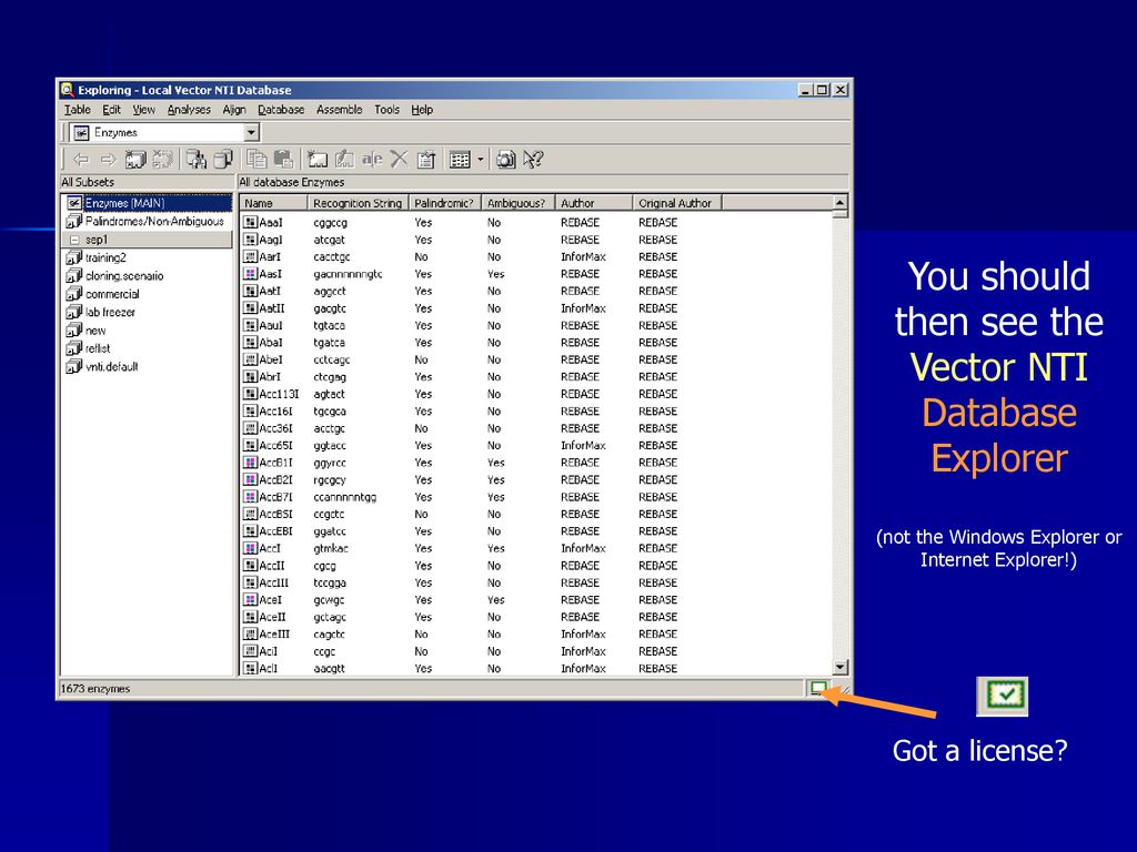 You should then see the Vector NTI Database Explorer (not the Windows Explorer or Internet Explorer!)