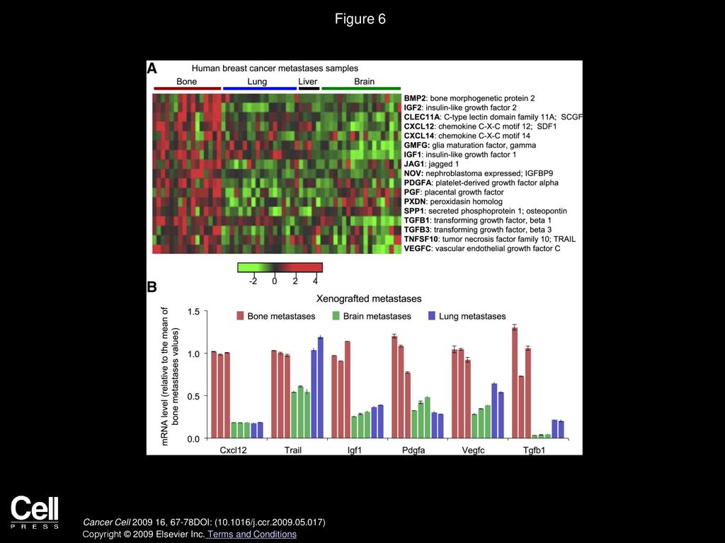 Volume 16, Issue 1, Pages (July 2009) - ppt download