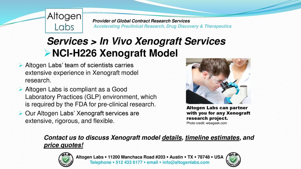Services > In Vivo Xenograft Services