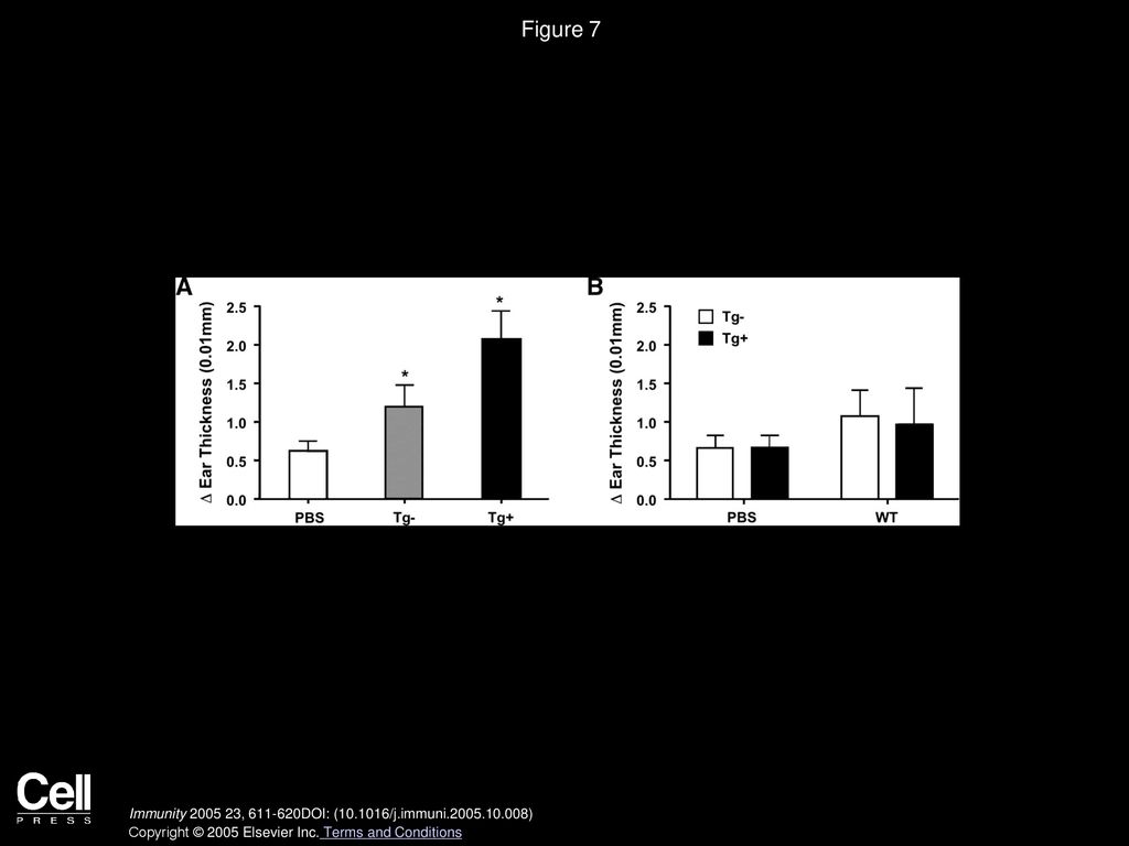 Figure 7 Enhanced CHS Can Be Adoptively Transferred to Wild-Type Mice