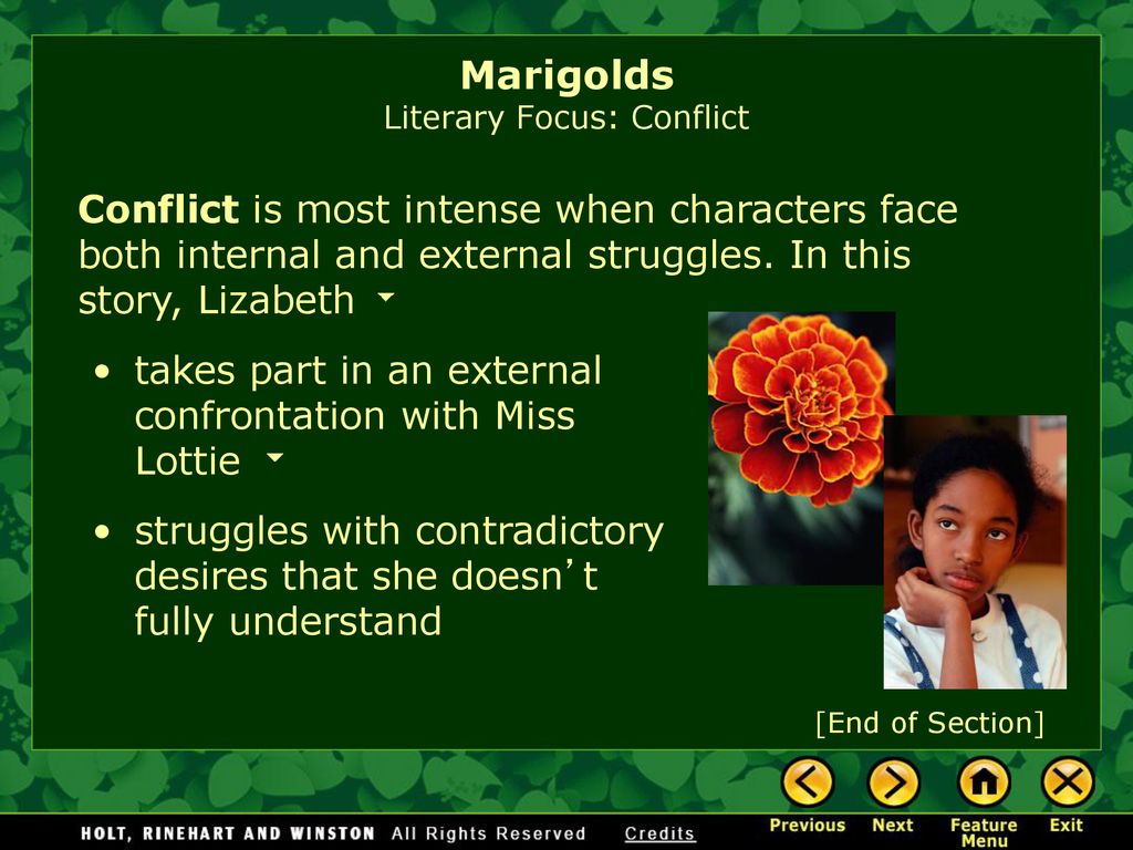 Marigolds by Eugenia W. Collier - ppt download