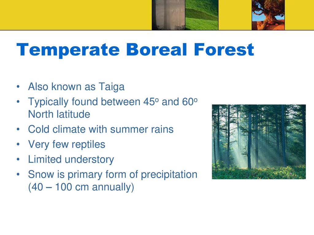 Chapter 21 Biomes of the World - ppt download