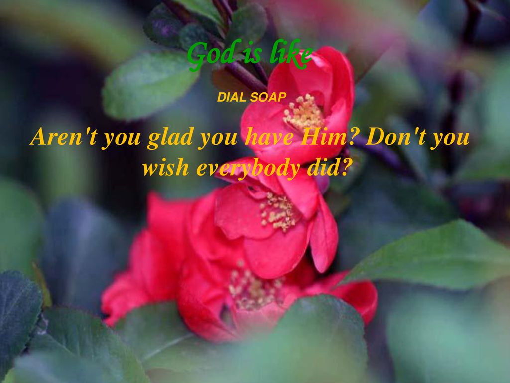 Do You Know These Ave Maria Schubert Ppt Download Do You Know These Ave Maria Schubert Ppt Download