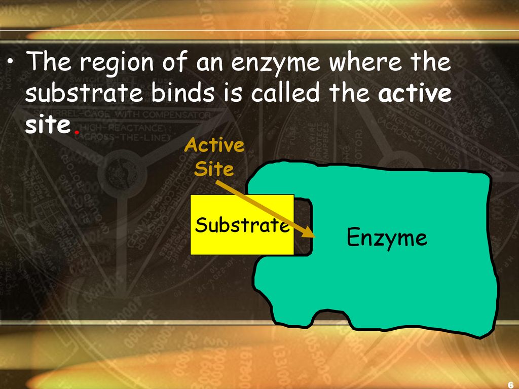 The region of an enzyme where the substrate binds is called the active site.