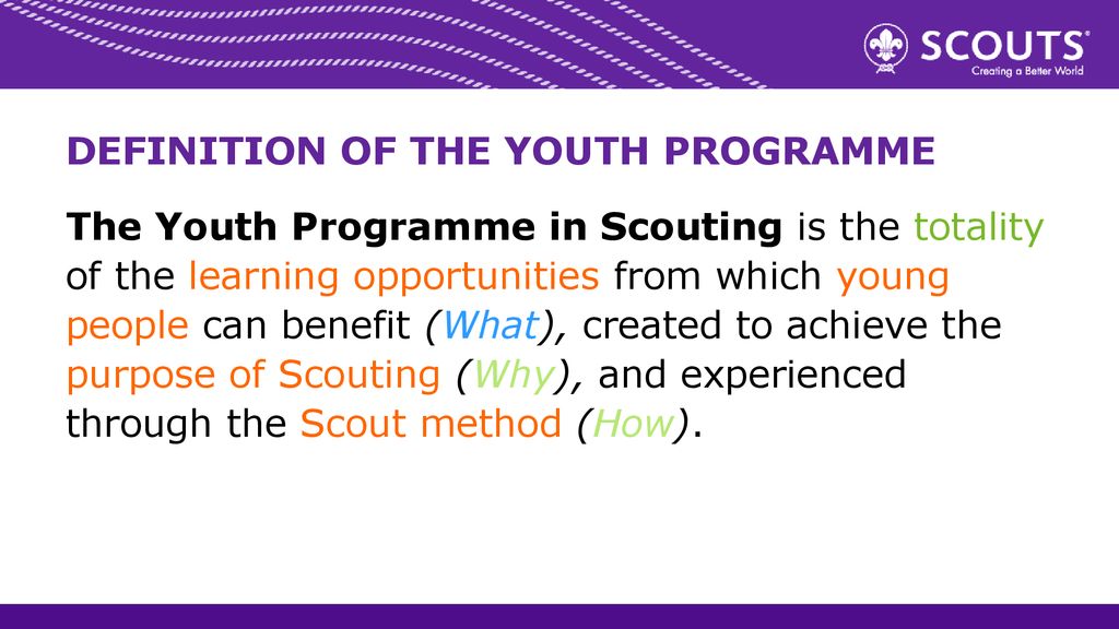 Scout Youth Programme