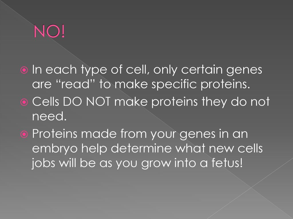 NO! In each type of cell, only certain genes are read to make specific proteins. Cells DO NOT make proteins they do not need.