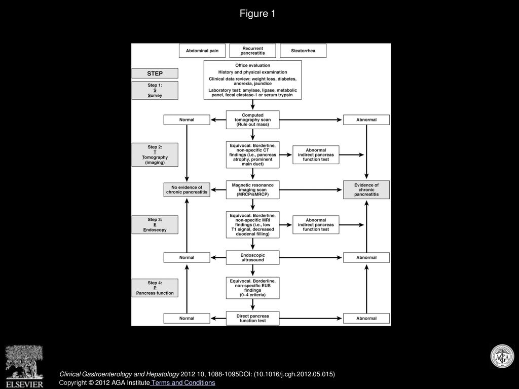 Figure 1 STEP-wise algorithm for the diagnosis of chronic pancreatitis.