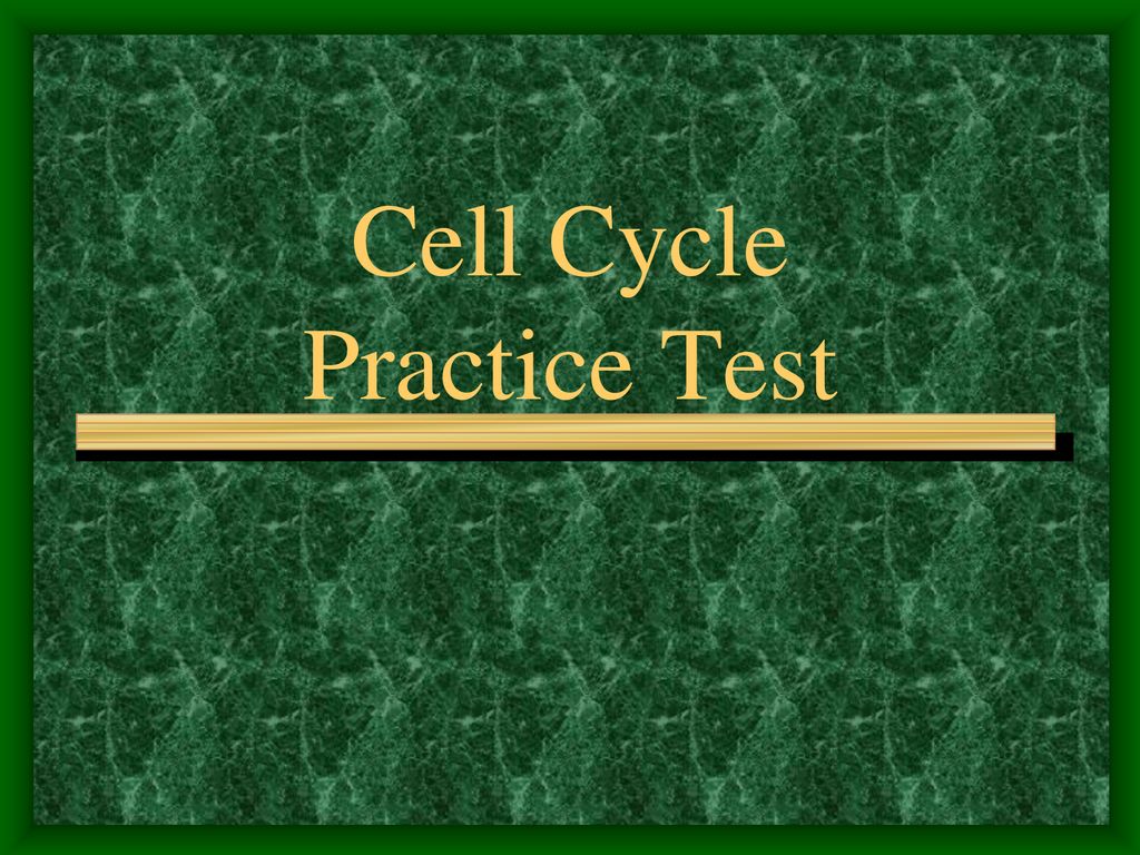 Cell Cycle Practice Test Biology Diagrams