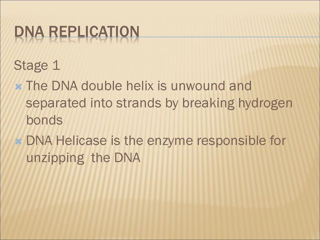 Mrs. Ragsdale Biology SL ppt download