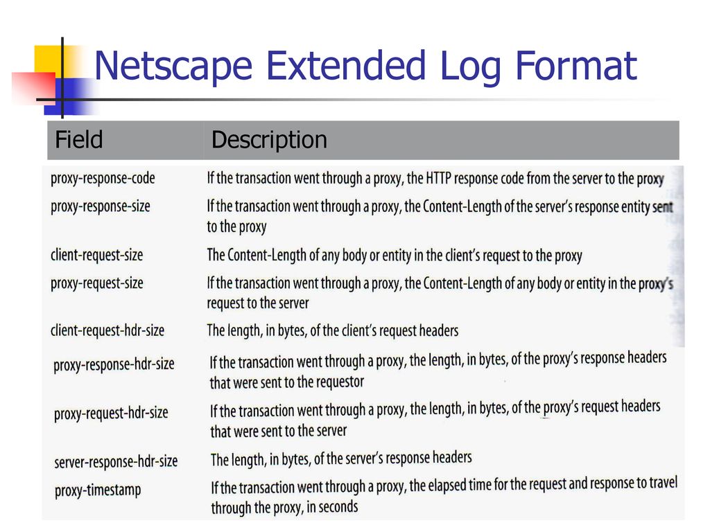Netscape Extended Log Format
