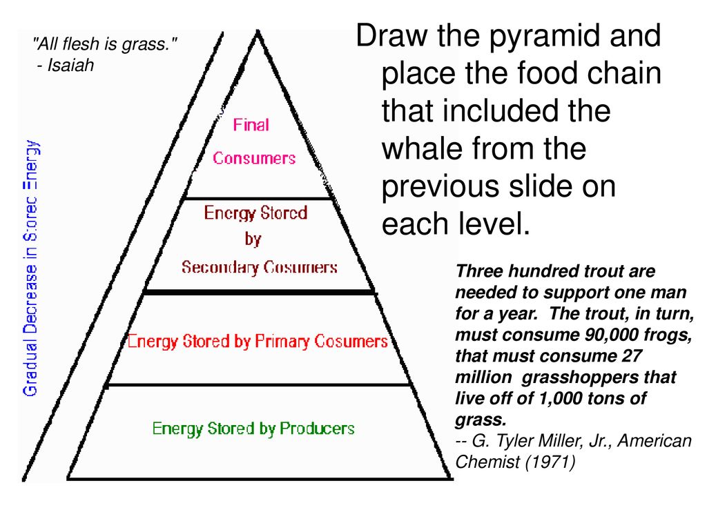 Ecology Biotic vs. Abiotic Relationship All Regions of Biosphere Biology Diagrams