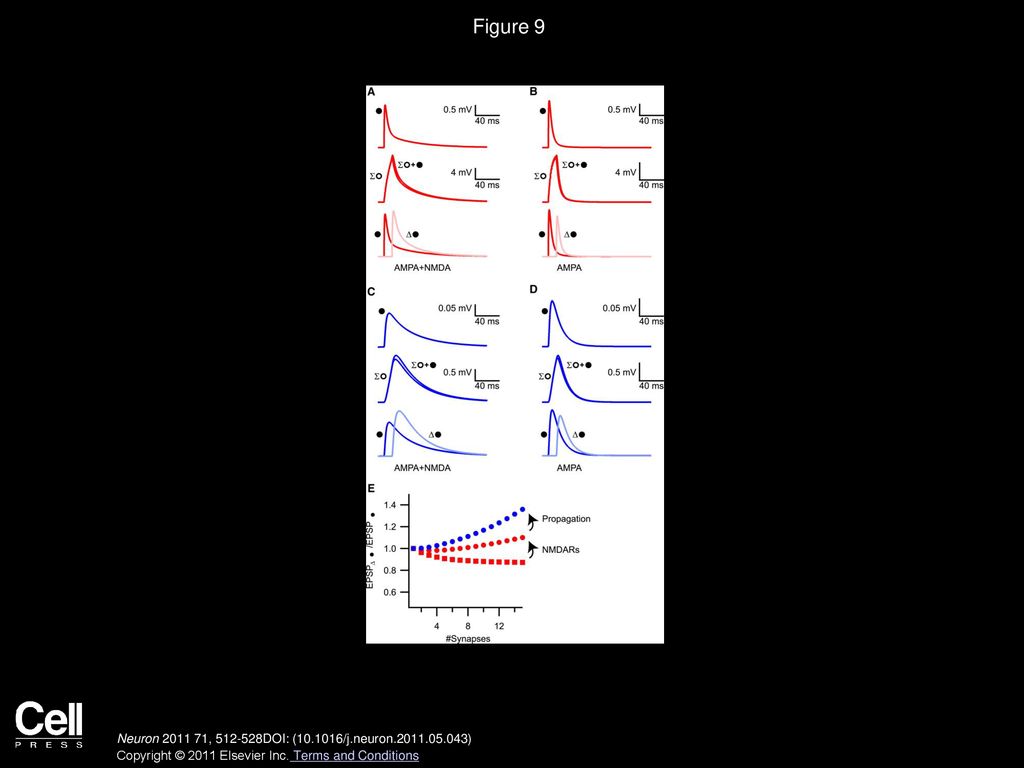 Figure 9 Mechanisms of Dendritic Boosting in Dentate Gyrus Granule Cells.