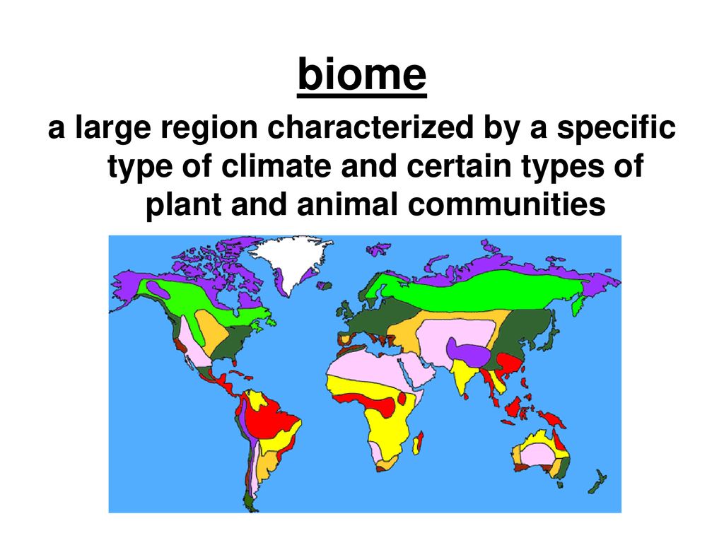 Unit 6 Vocabulary Ecology ppt download