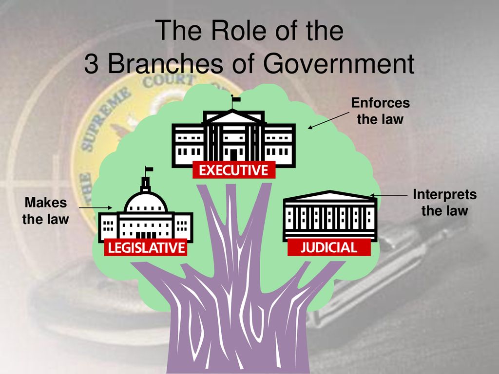 the-courts-and-the-constitution-ppt-download