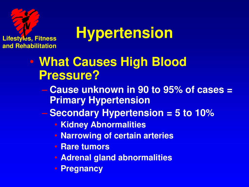Hypertension What Causes High Blood Pressure