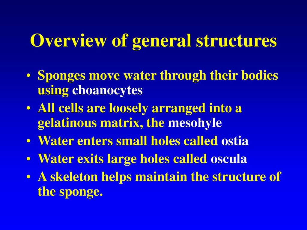 Overview of general structures