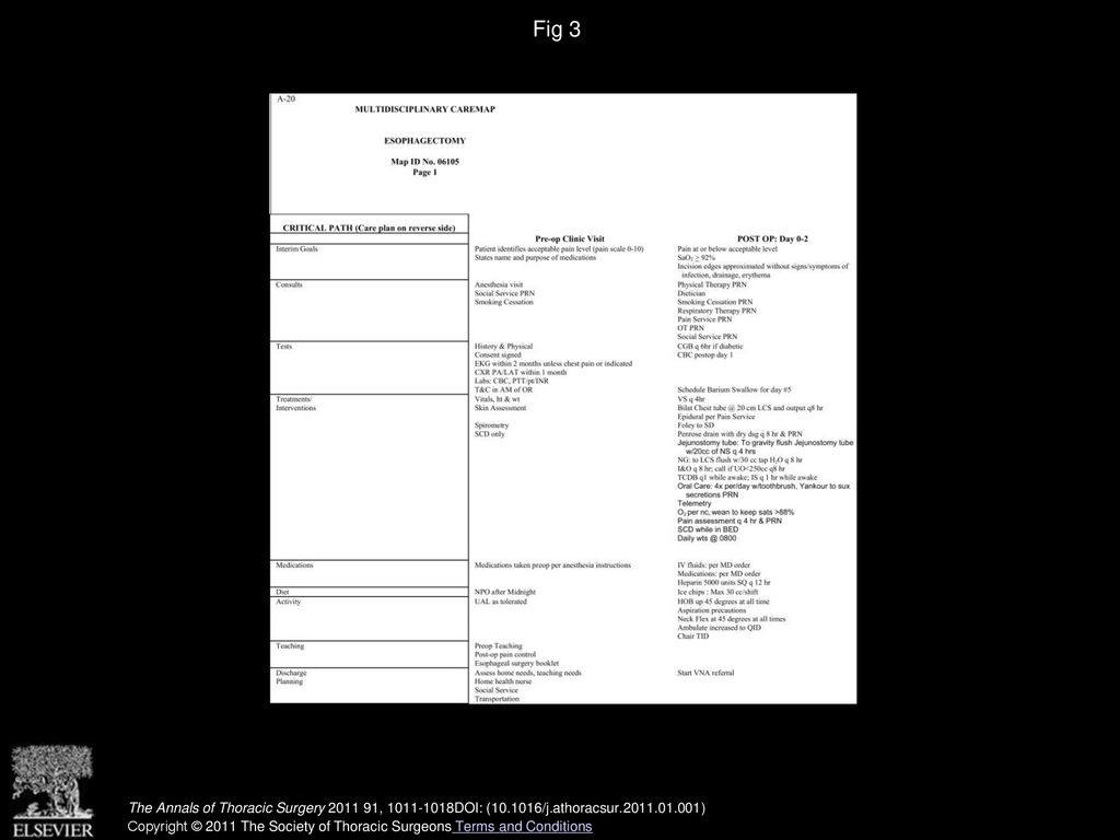 Fig 3 Esophagectomy care map.