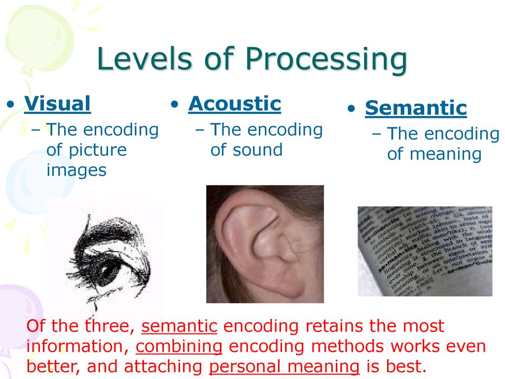 Introduction to memory and encoding ppt download