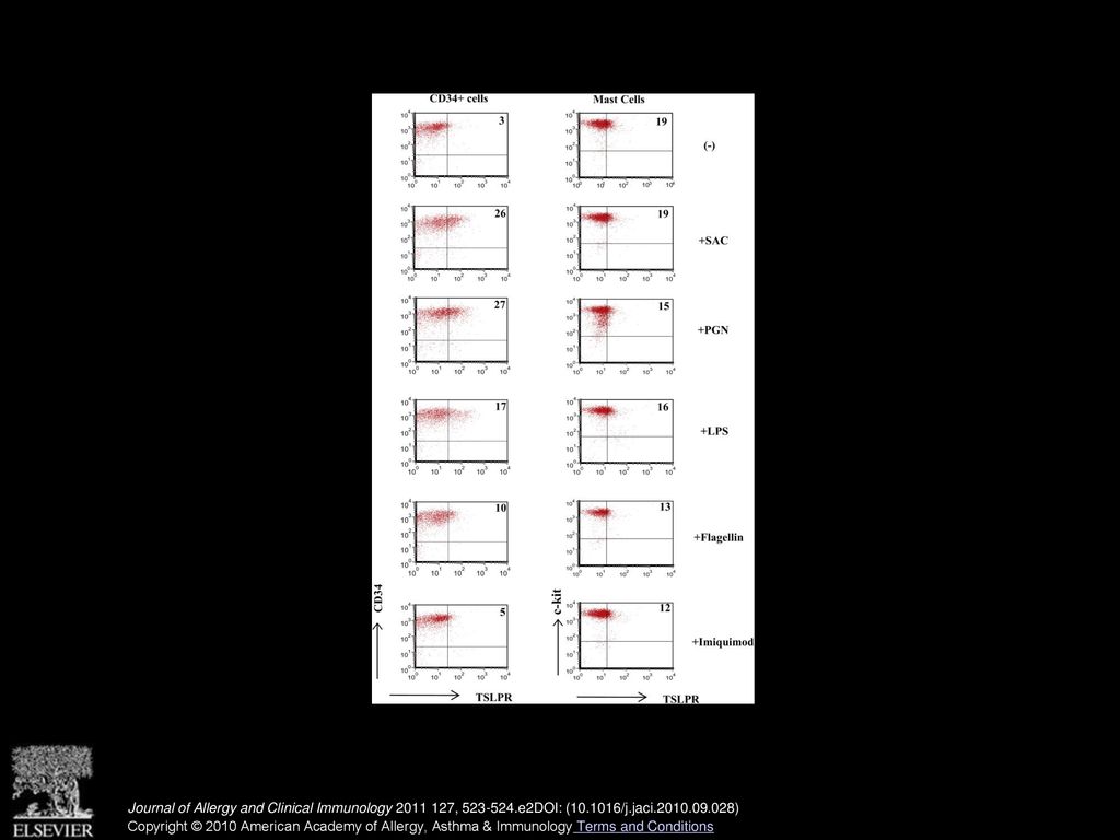 TSLP receptor regulation by microbial and TLR ligands on CD34+ cells and mast cells. Staphylococcus aureus Cowan I strain (SAC) (1:5000), peptidoglycan (PGN) (50 μg/mL), LPS (1 μg/mL), flagellin (1 μg/mL), and imiquimod (1 μg/mL) were added to cultures of CD34+ cells and MCs, and 48 hours later, TSLPR expression was detected. Representative of 3 experiments.