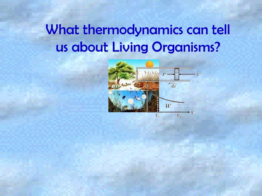 What thermodynamics can tell us about Living Organisms