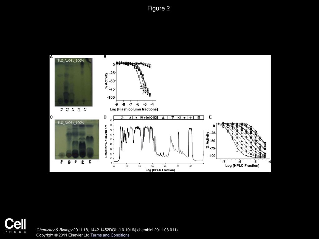 Frontiers Bioactivities And Extract Dereplication Of Actinomycetales