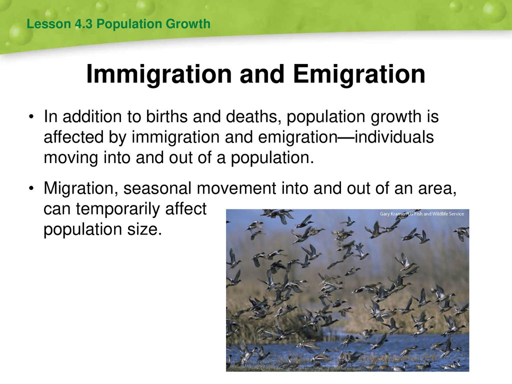 population-ecology-4-chapter-ppt-download
