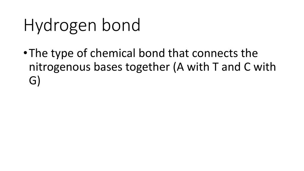 DNA Vocabulary. ppt download