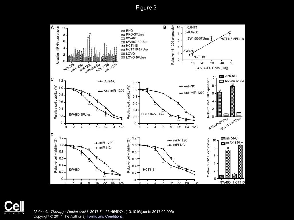 Figure 2 miRNA Expression in Colon Cancer Cell Lines and the Influence of miR-1290 on the Sensitivity to 5-FU In Vitro.