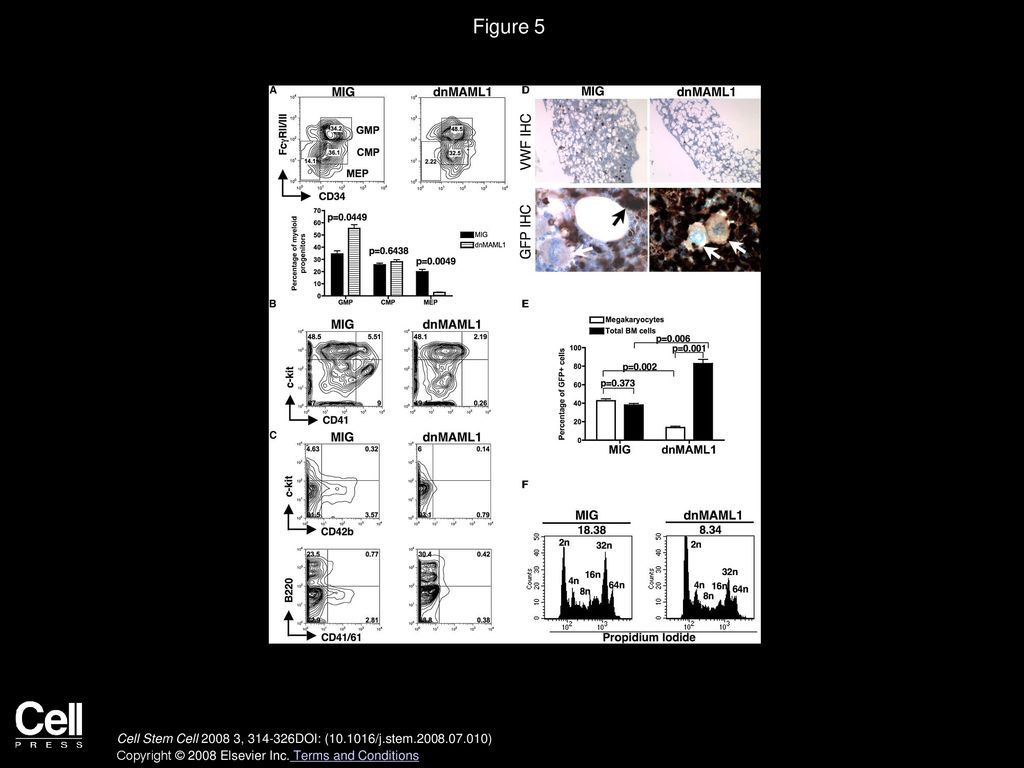 Volume 3, Issue 3, Pages (September 2008) - ppt download