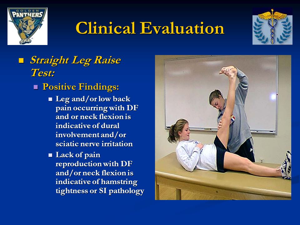 Thoracic and Lumbar Spine Special Tests and Pathologies - ppt video online  download