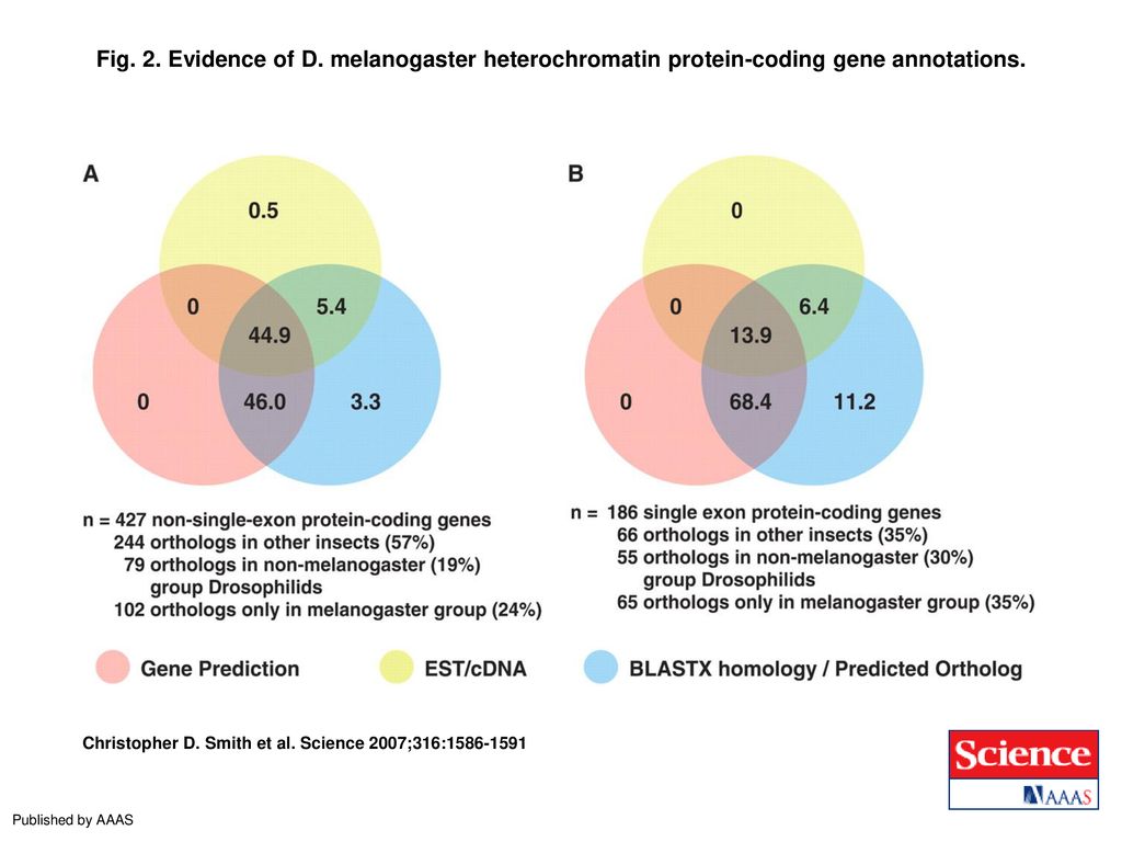 H3k9me3 Heterochromatin Loss At Protein Coding Genes Enables