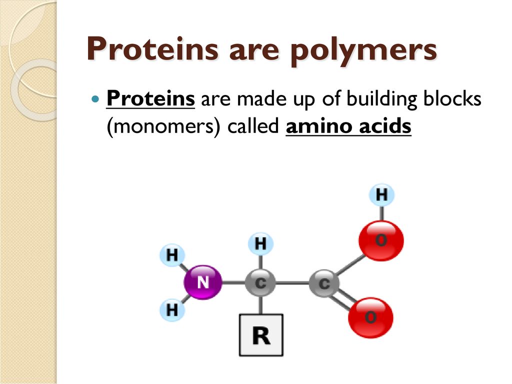 the study of the molecules that make up living things ppt download