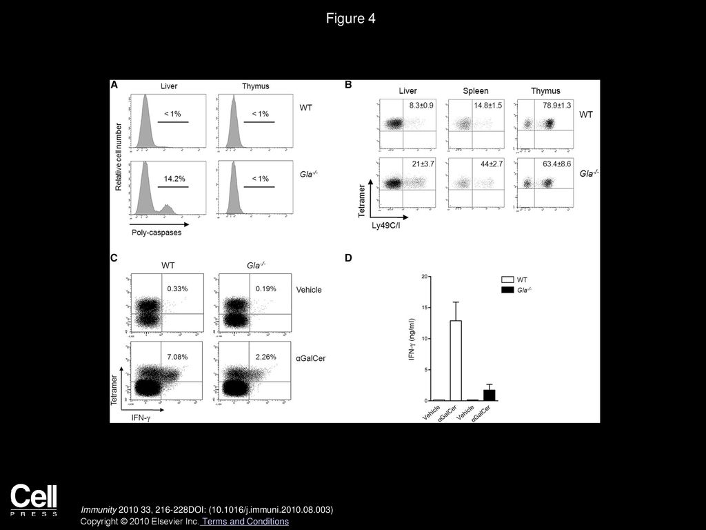Figure 4 Peripheral iNKT Cells Show Signs of Chronic Exposure to Self Antigens in Gla−/− Mice.