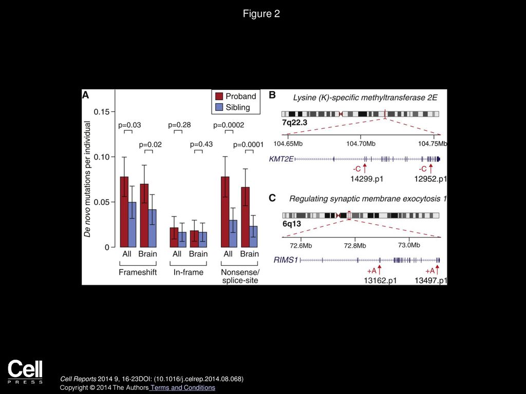 Figure 2 De Novo Indel Burden and Genes with Multiple Hits