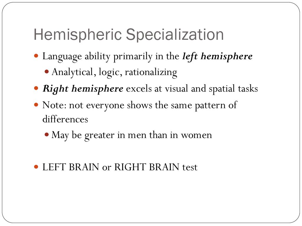 The Brain (cont.) Somatosensory cortex & primary motor cortex Cerebral ... Biology Diagrams