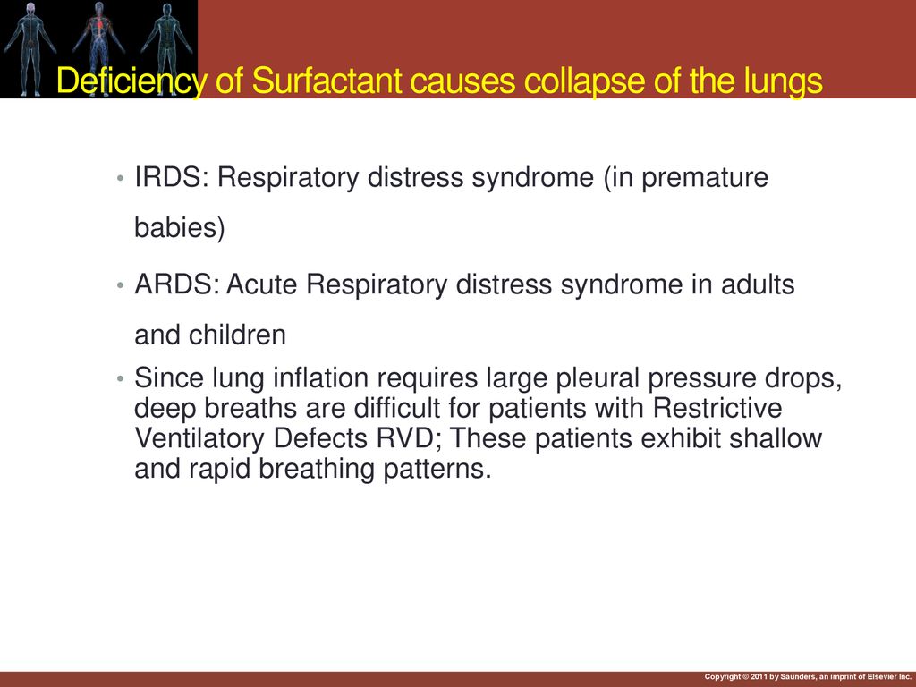 Lung Compliance Slides By Robert L. Hester, Phd - Ppt Download