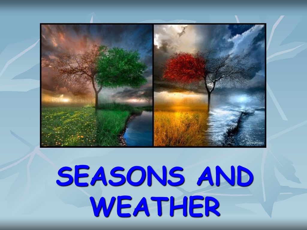 Seasons youtube. Weather and the Seasons. Тема Seasons and weather. Seasons презентация. Seasons and weather презентация.