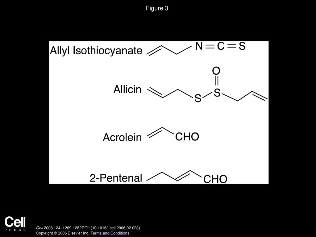 Figure 3 TRPA1 Is Activated by Structurally Related Isothiocyanate, Thiosulfinate (Allicin), and Aldehyde (Acrolein and 2-Pentenal) Irritants.